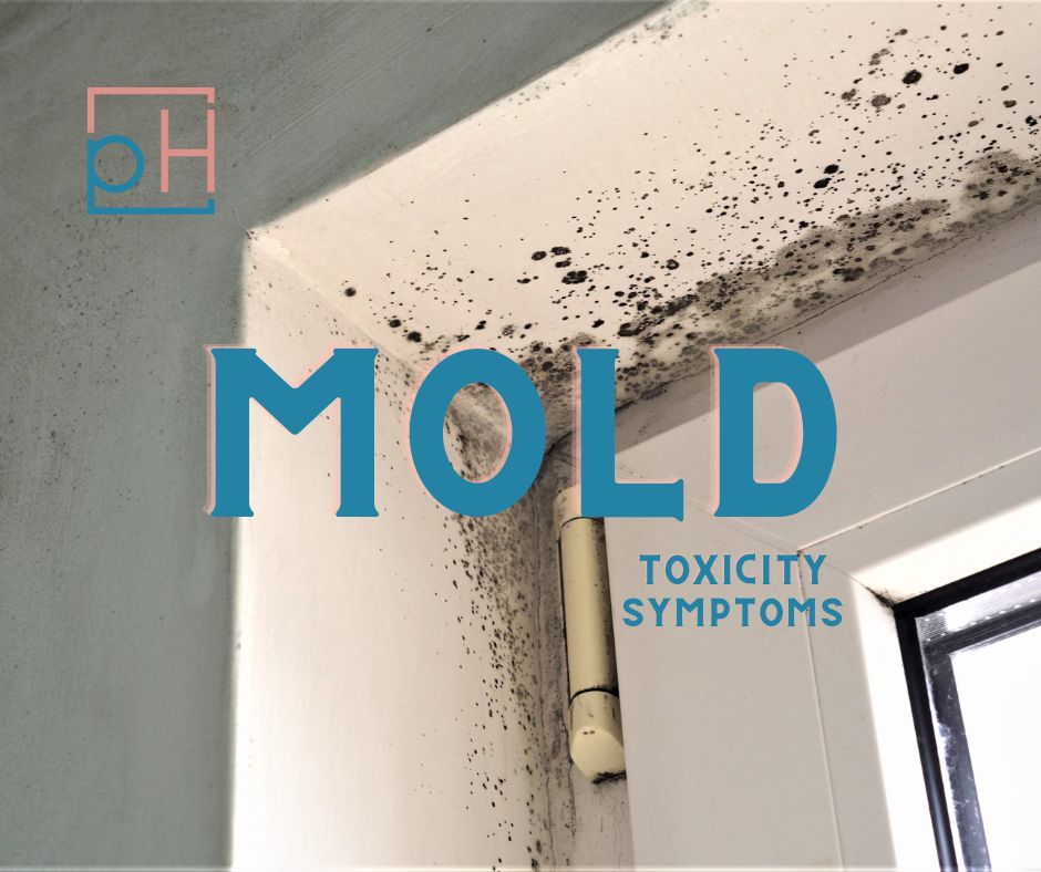 What is Non Toxic Black Mold? Risks, Identification, Removal