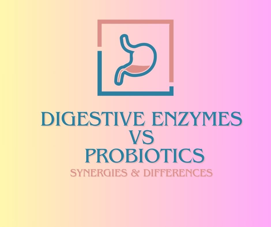 Synergies & Differences Between Digestive Enzymes and Probiotics